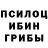 Галлюциногенные грибы мицелий MaximusPL