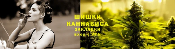 дживик Белокуриха