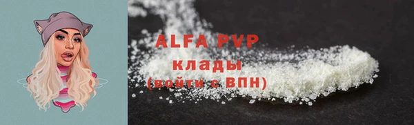 дживик Белокуриха