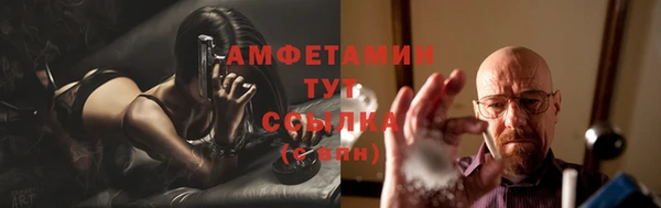 дживик Белокуриха