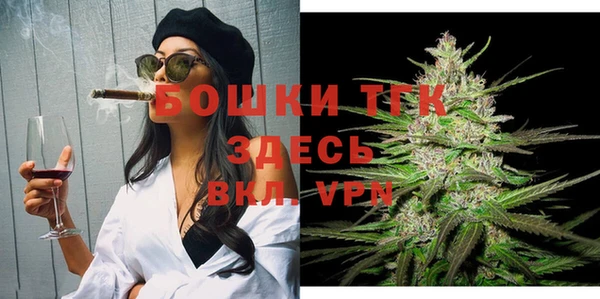дживик Белокуриха