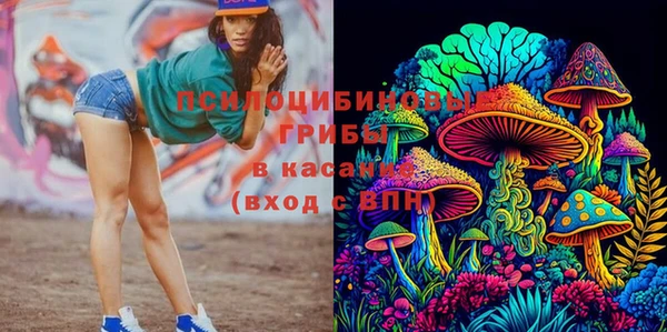 дживик Белокуриха