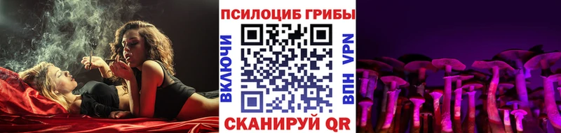 MEGA ТОР Волчанск Галлюциногенные грибы Psilocybe